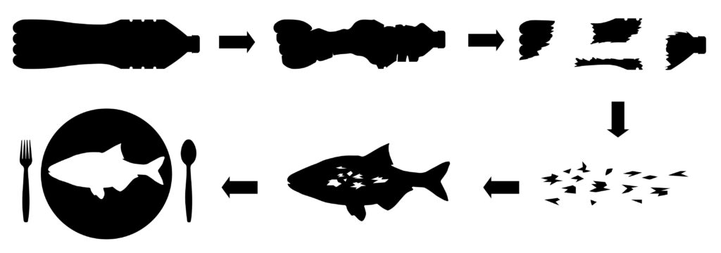 ciclo delle microplastiche