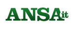 ansa